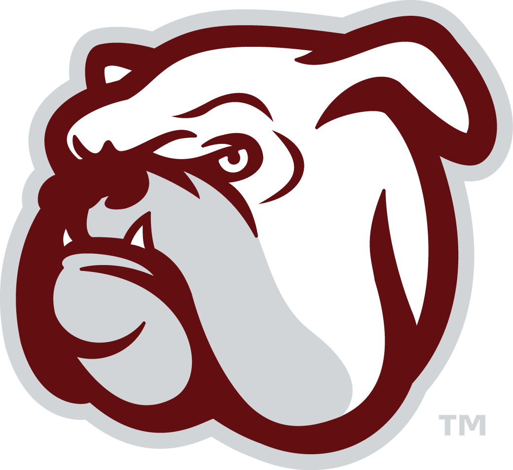 Mississippi State Bulldogs 2009-Pres Alternate Logo v6 diy DTF decal sticker